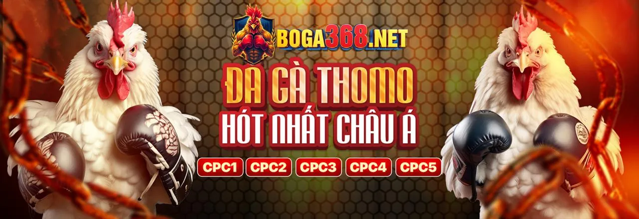 Đá Gà Trực Tuyến z88 Link Mới 2026